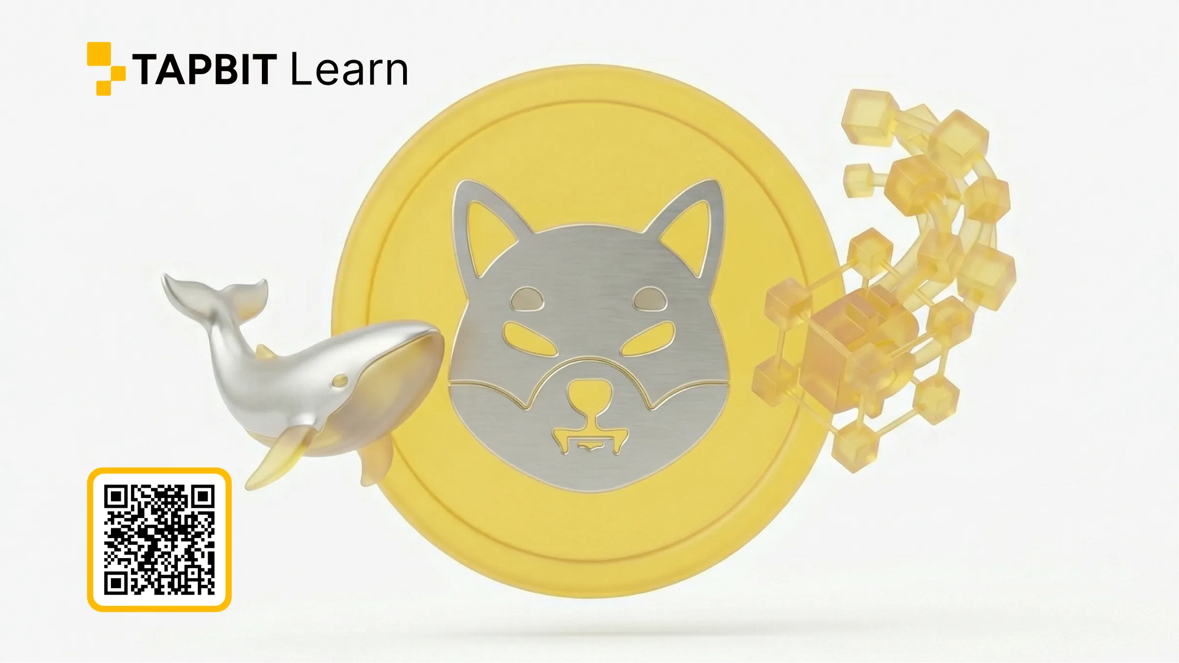 On-chain data visualization showing whale wallet accumulation versus retail distribution