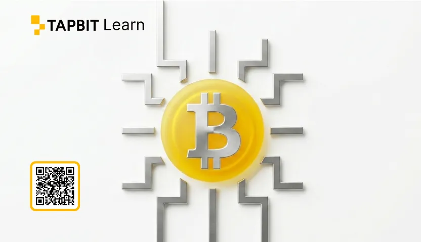 What is bitcoin circuit - Tapbit Learn