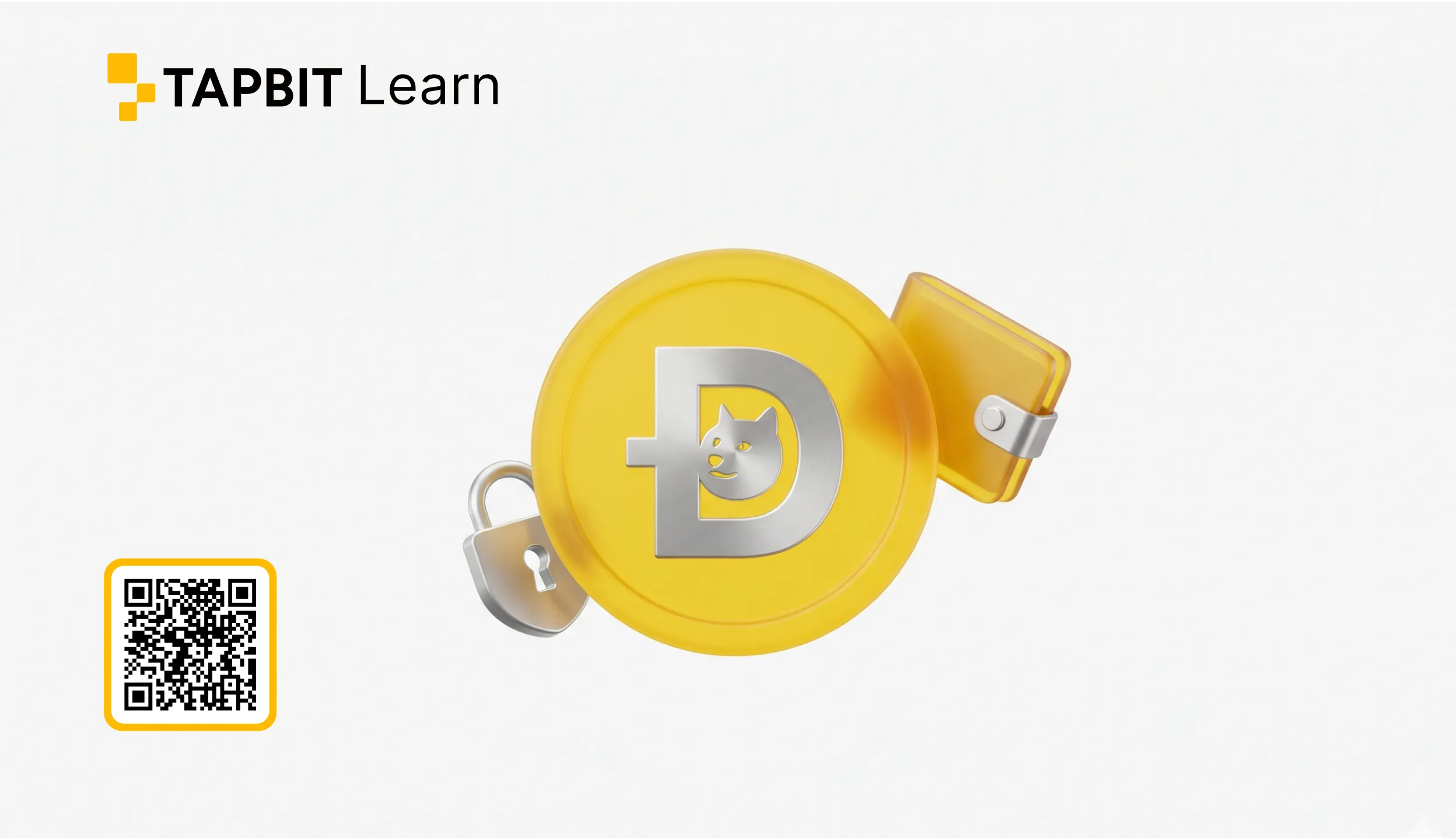 Comparison of Dogecoin hardware wallets, mobile apps, and Web3 wallets