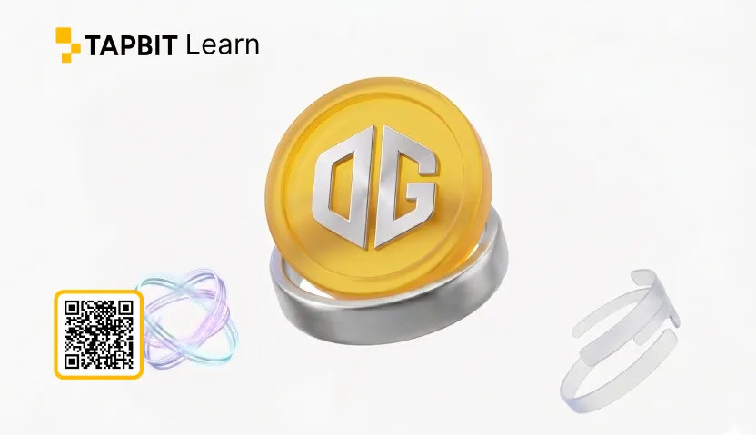What Is OG Fan Token? Beginner's Guide to OG Esports Crypto