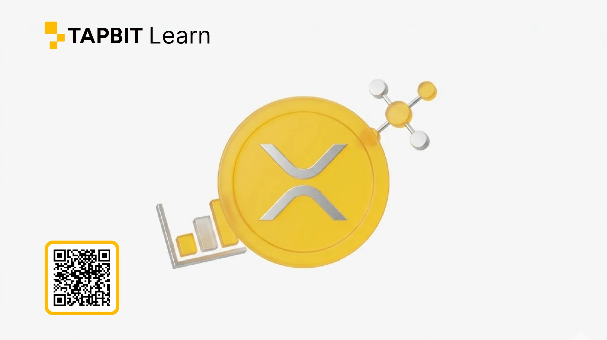 Ripple vs XRP Explained: What Is the Difference Between Ripple and XRP?