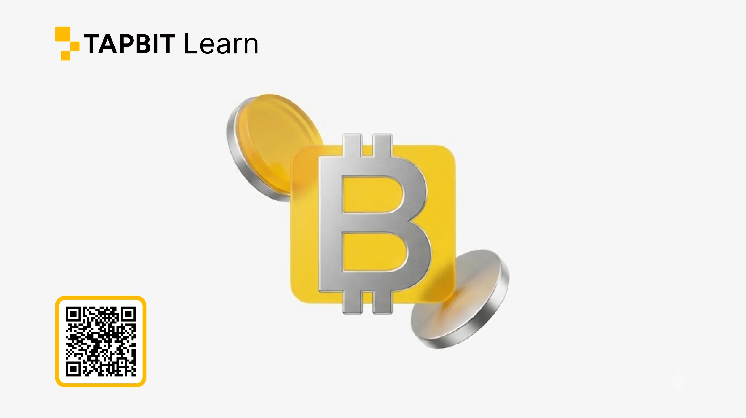 BERA crypto coin and Berachain risks