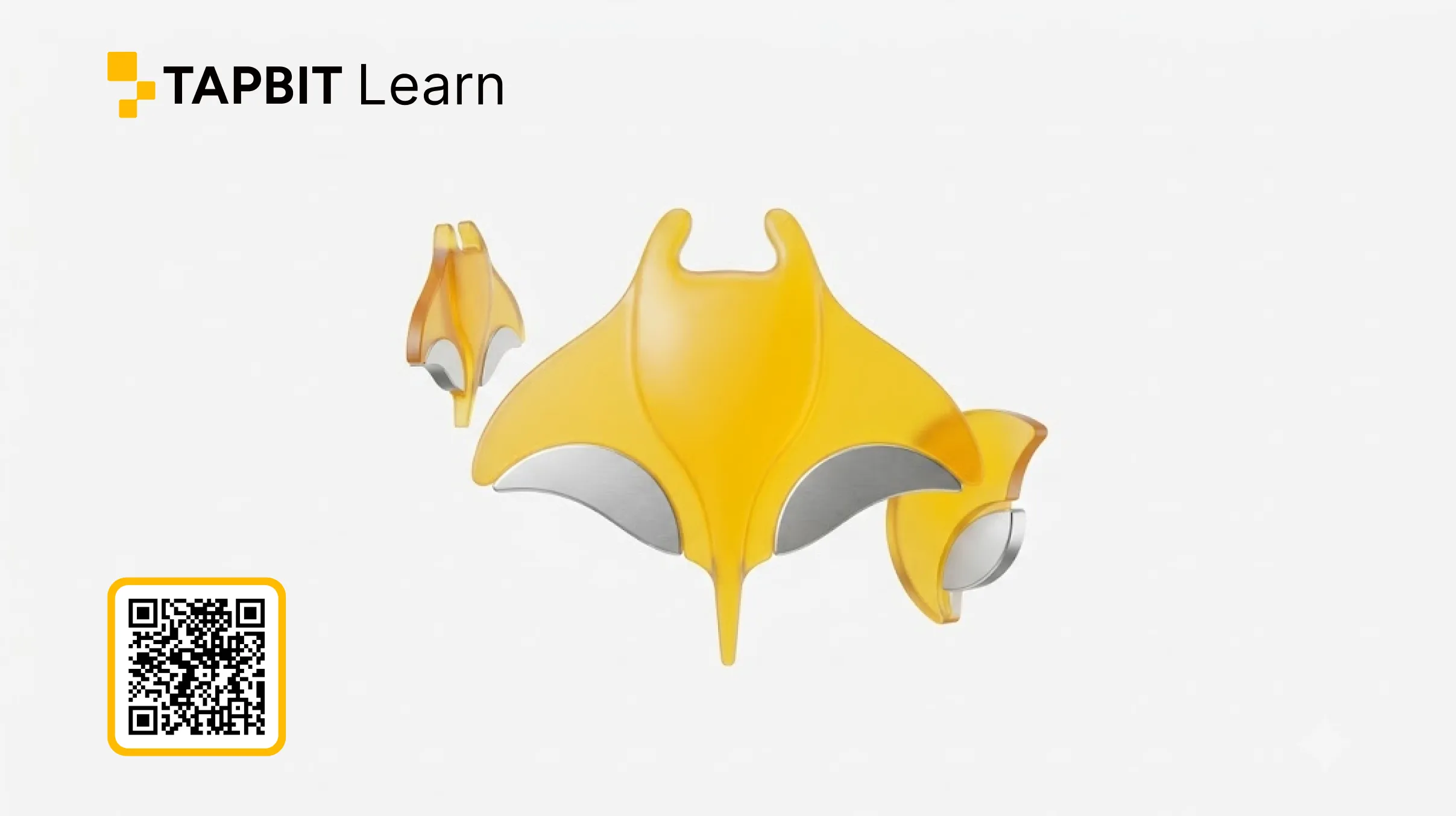 MANTA 코인