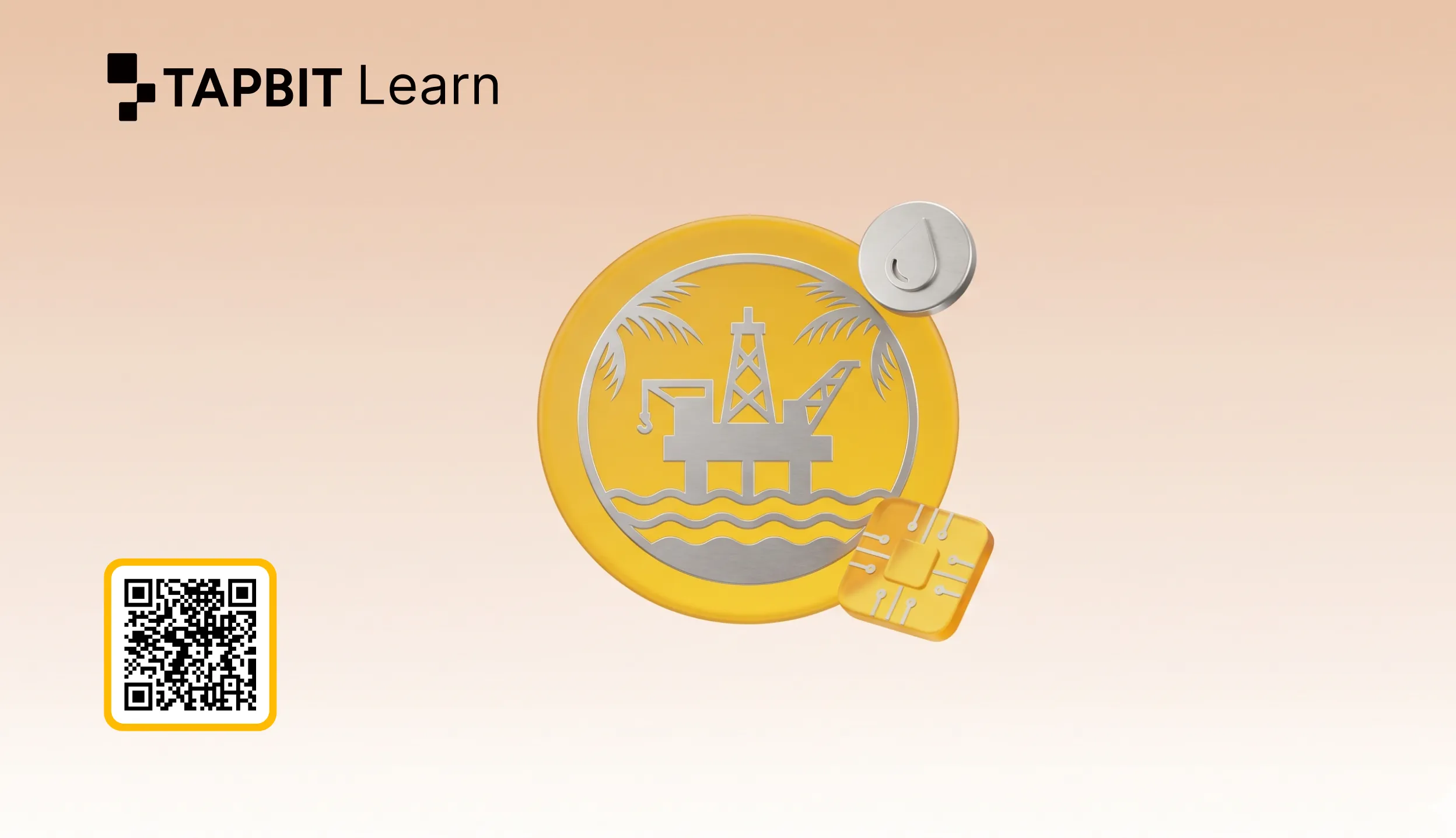 PXR Identity Verification - Tapbit Learn