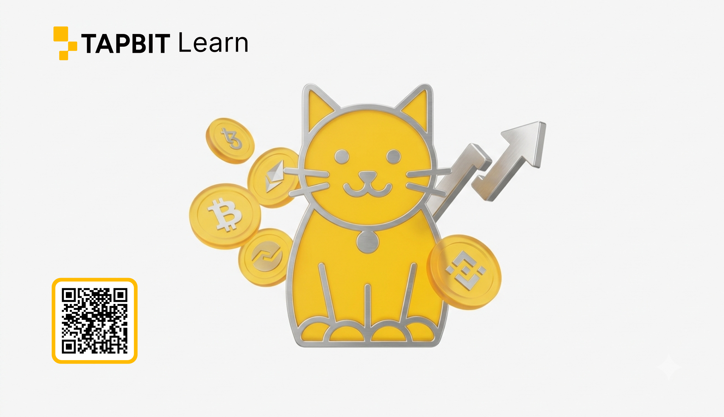 Cash Cat Crypto Guide: Market Trends and Volatility Risks