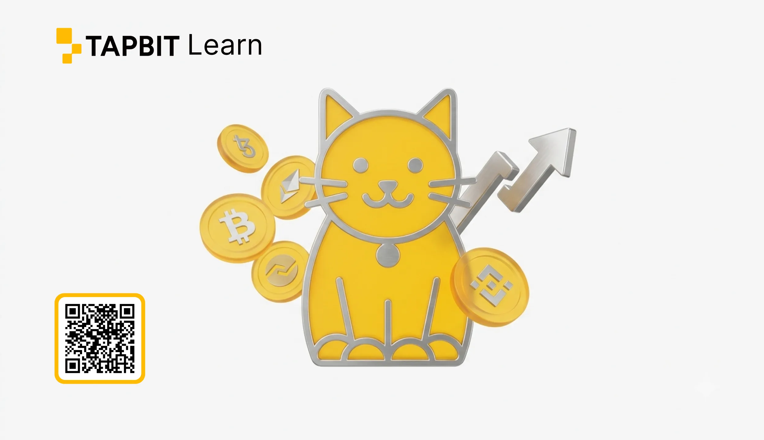 Cash Cat
