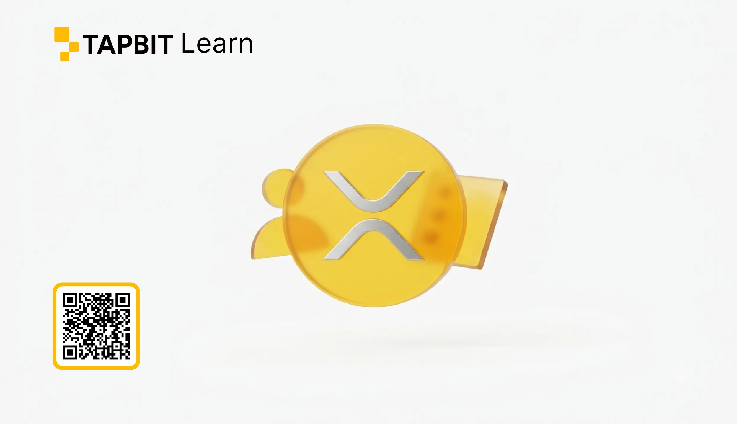 XRP 부자 목록: 거래자를 위한 보유자 분포 및 시장 위험 분석