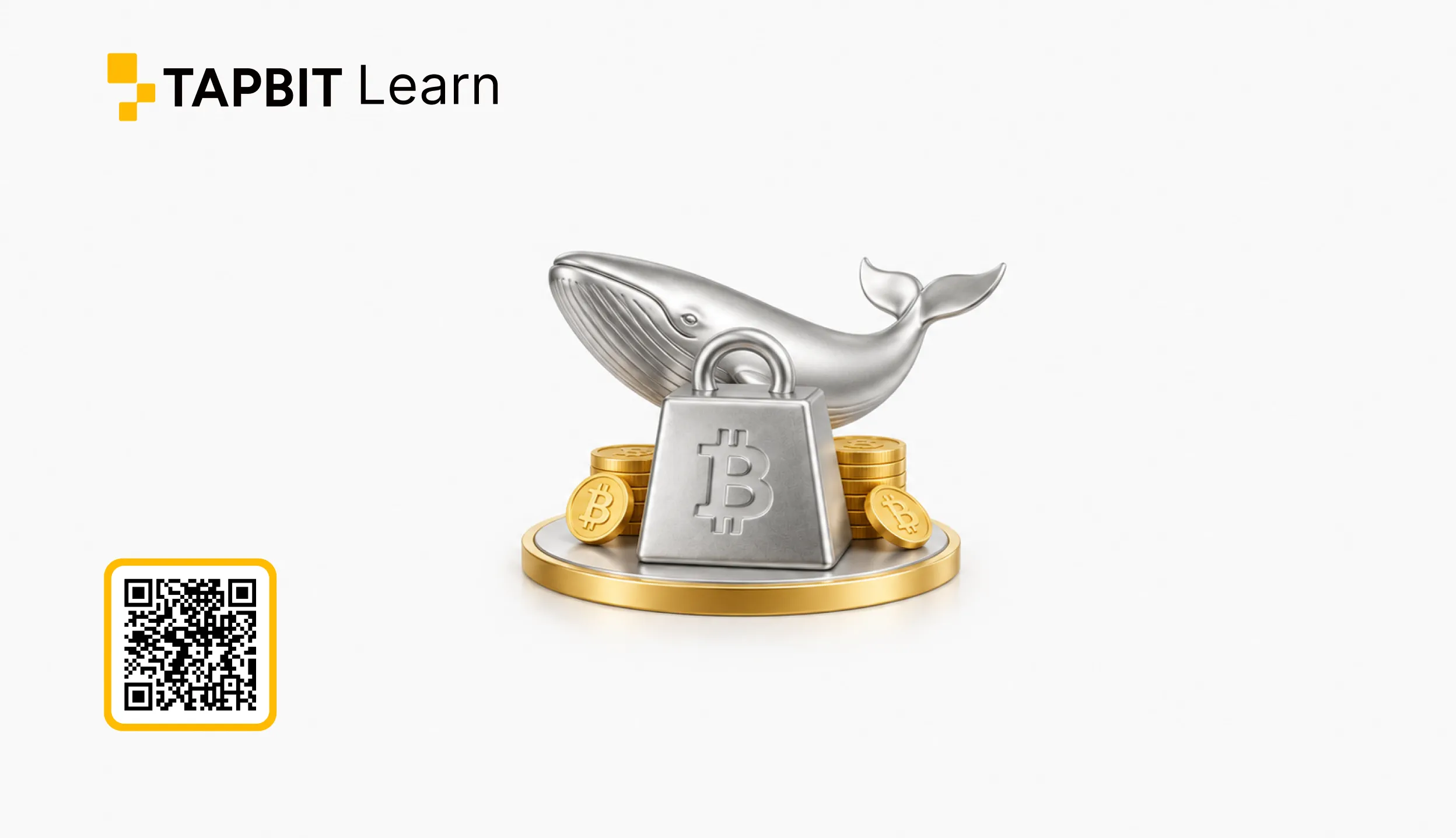 Bitcoin whale accumulation large holders buying BTC dip