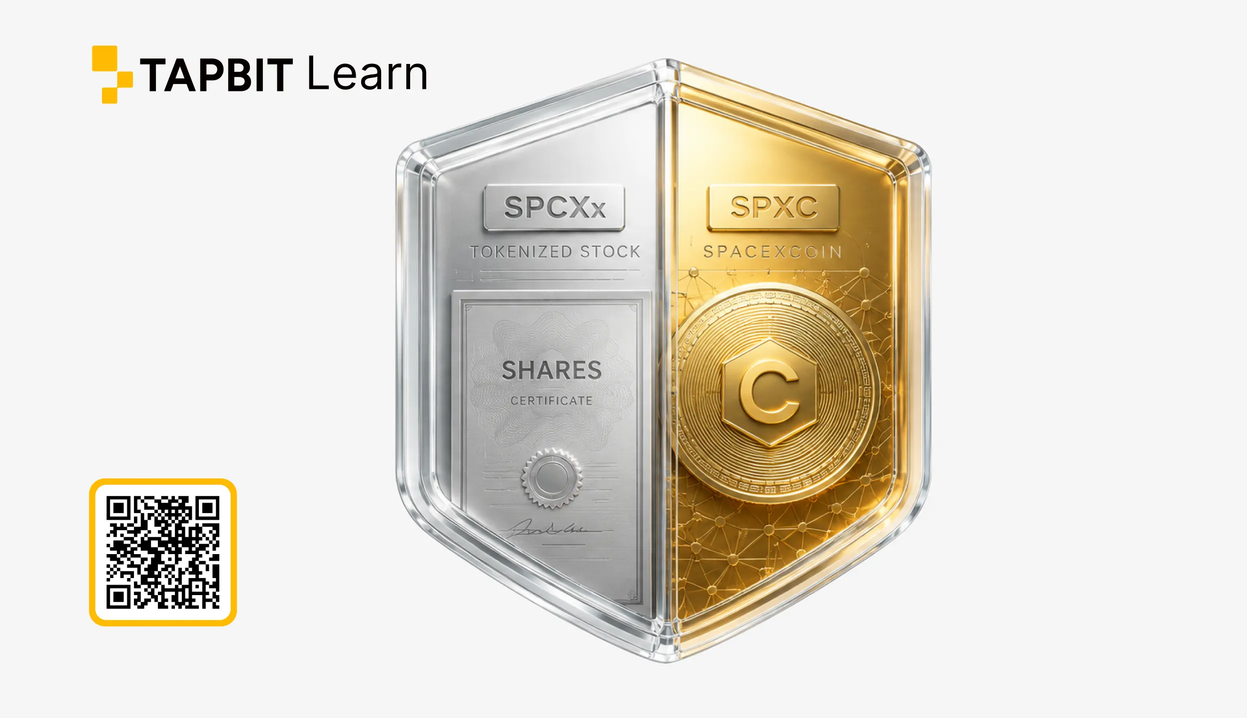spacex tokenize edilmiş hisse senedi vs spacex coin - Tapbit Learn