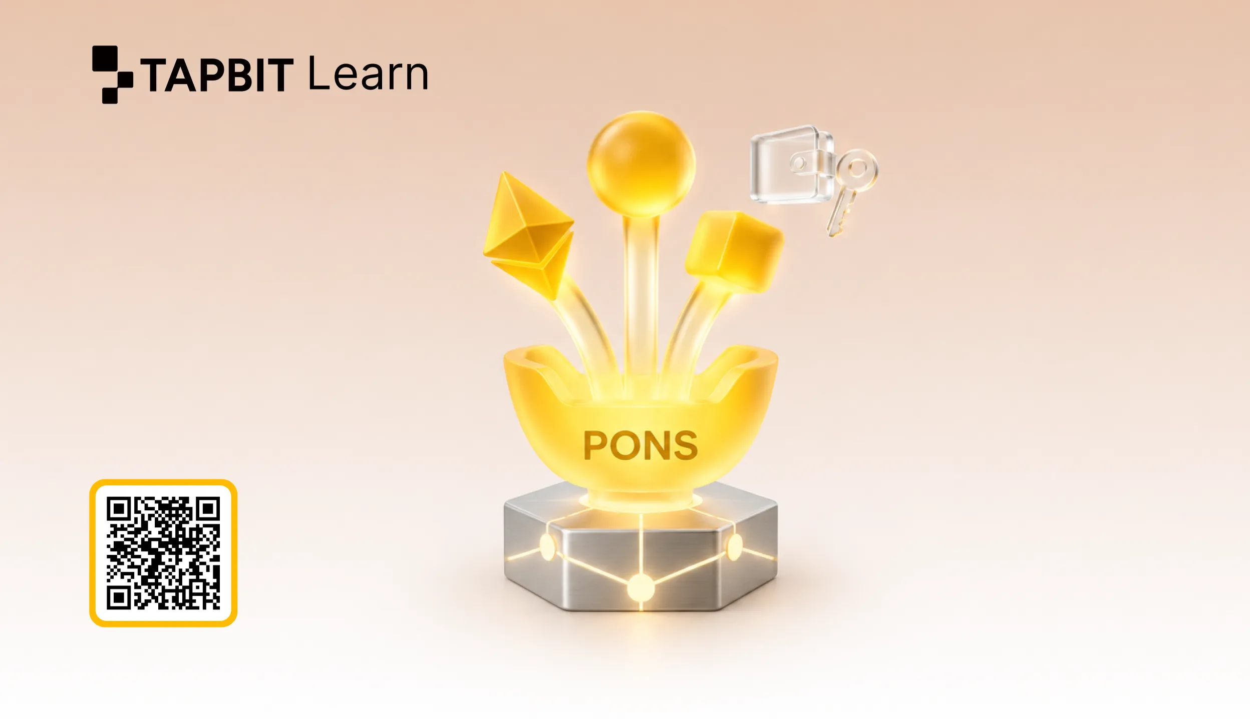 pons 런치패드 robinhood 체인