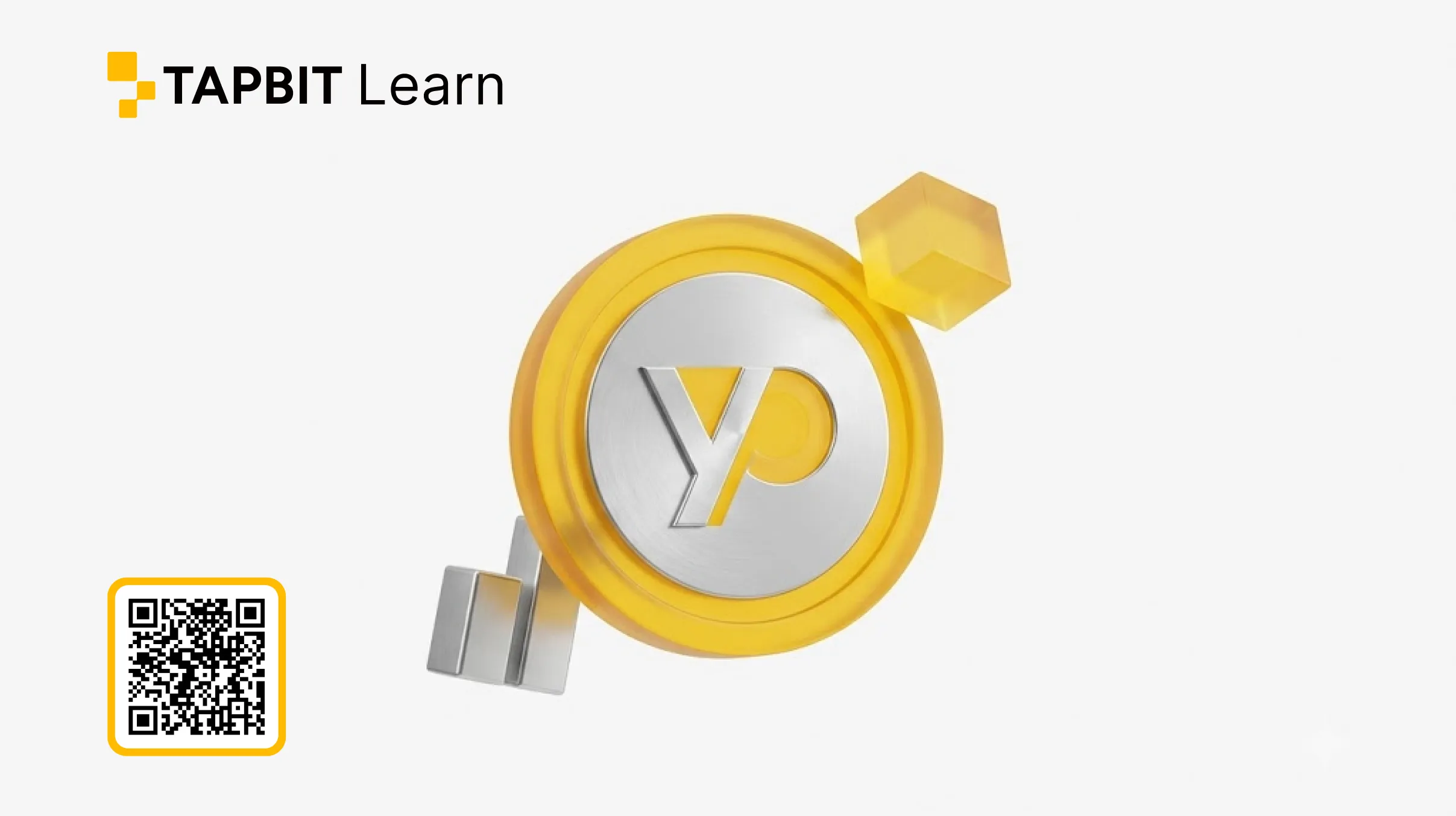 YAP 创作者奖励与代币风险