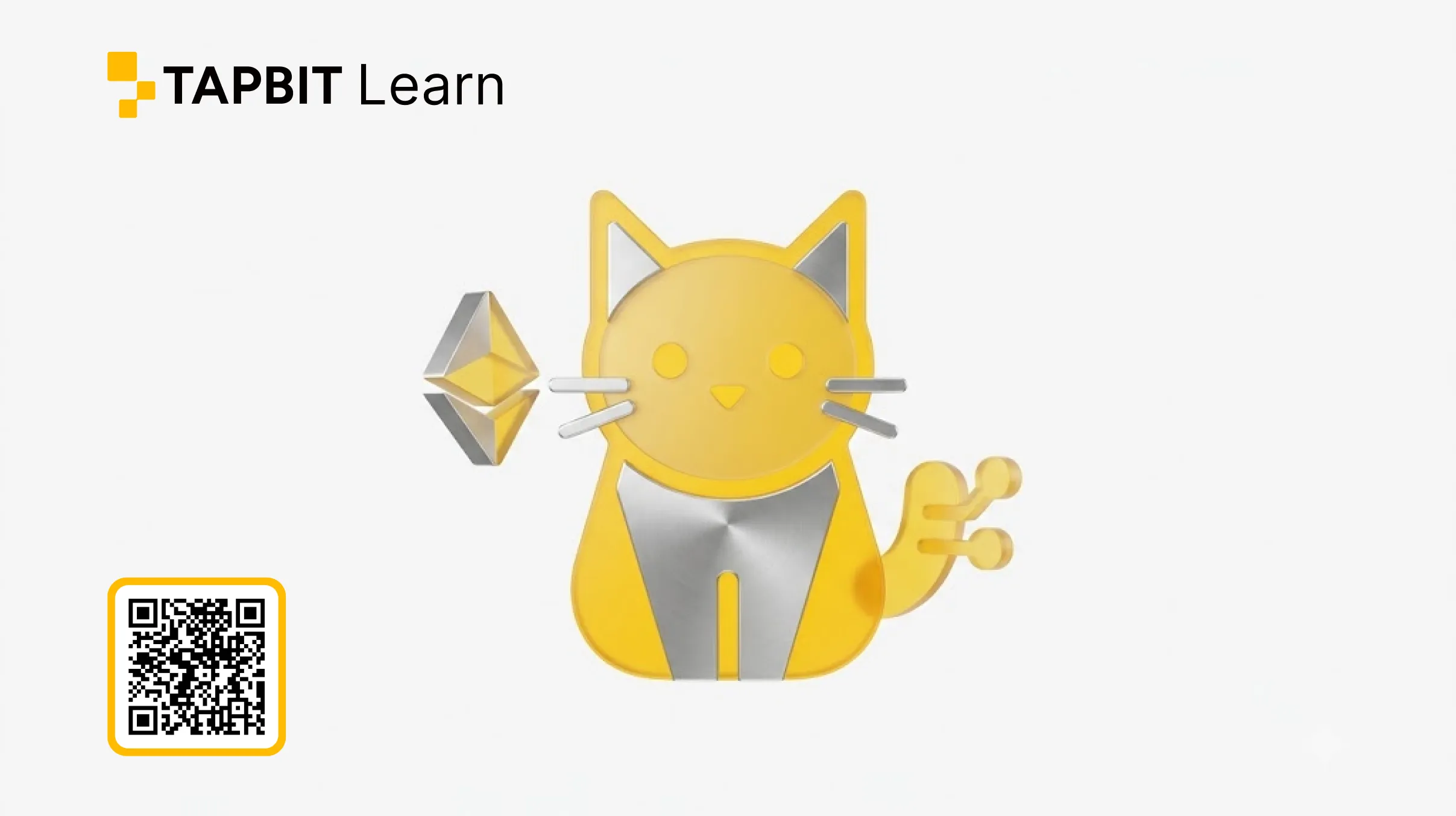 Solana Cat SOLCAT 投资、流动性与风险分析