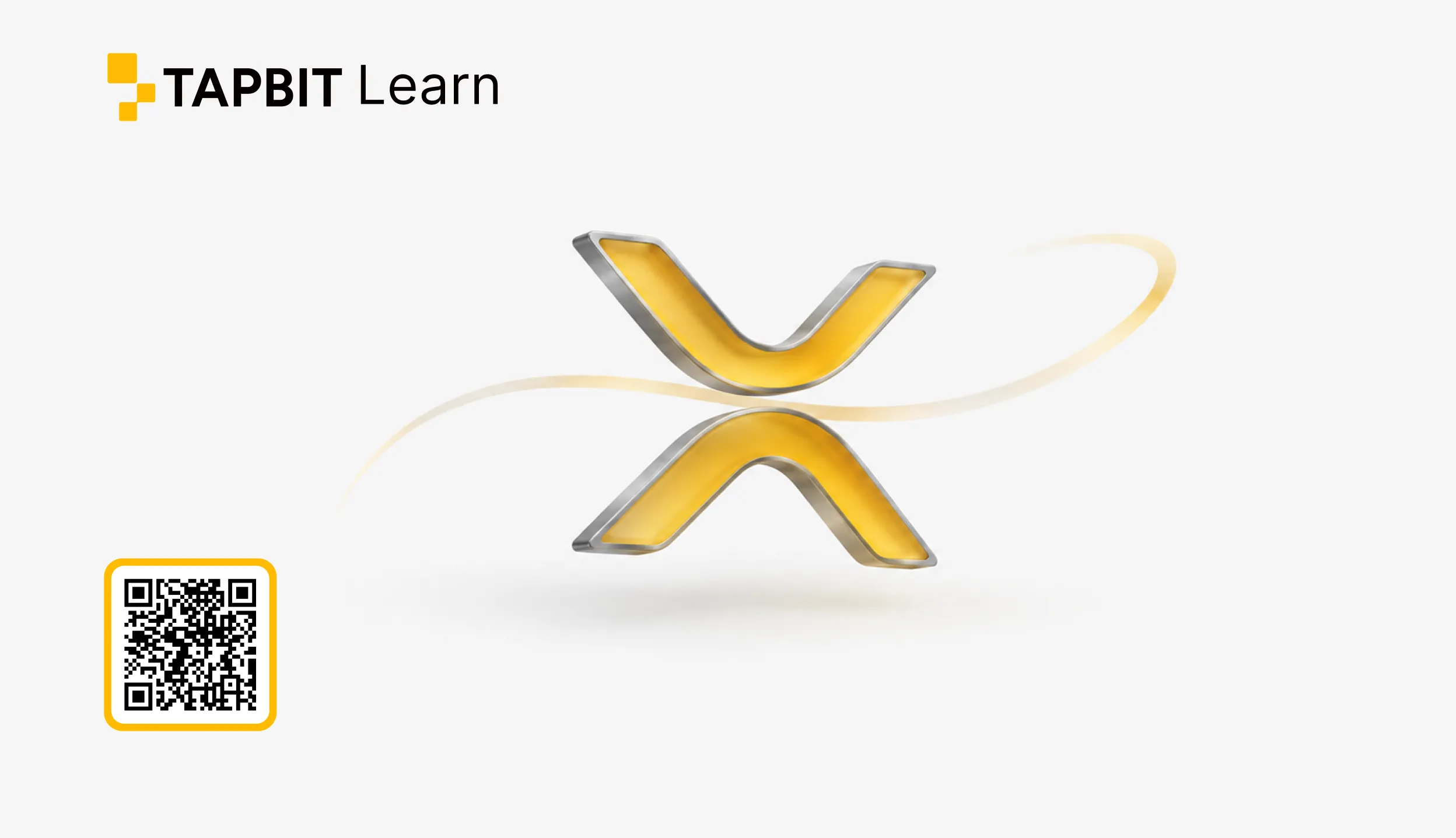 XRP Ledger 버그
