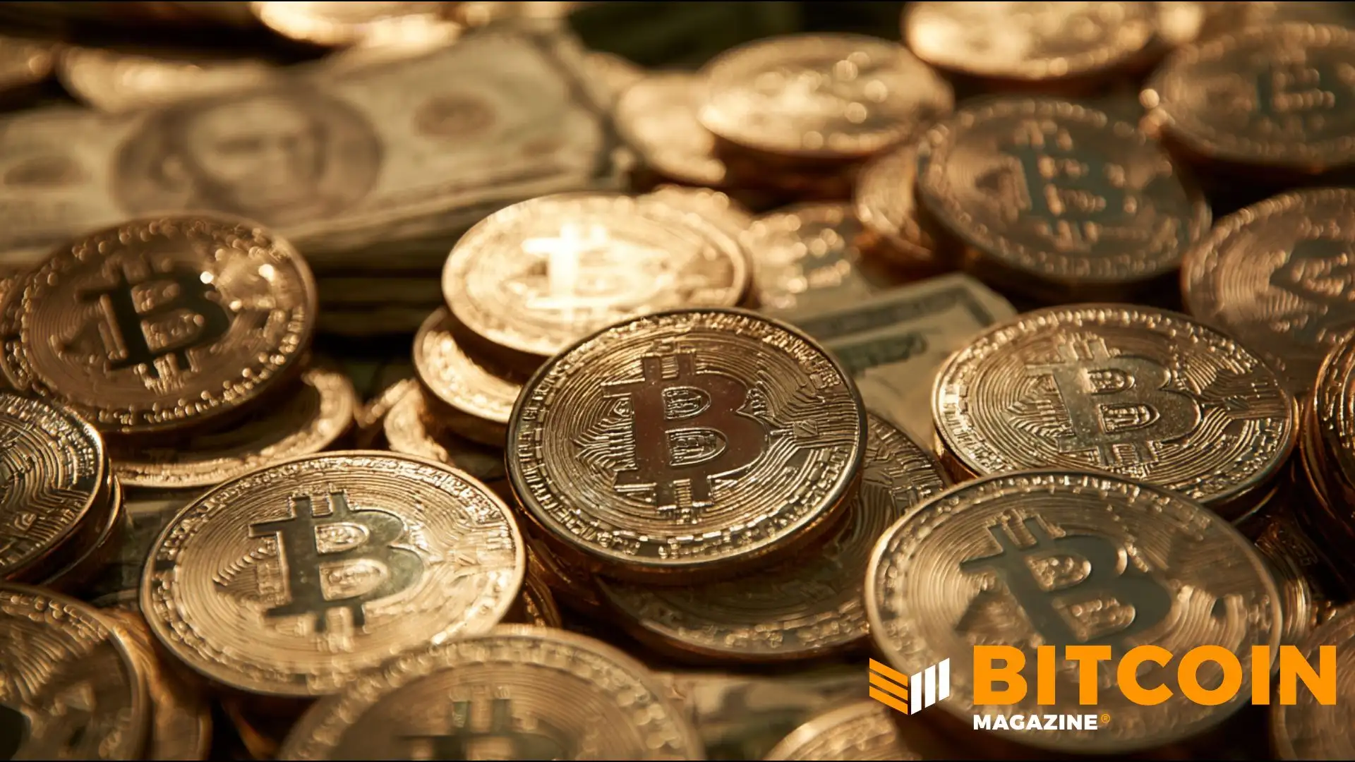 Institutionen – Tapbit News