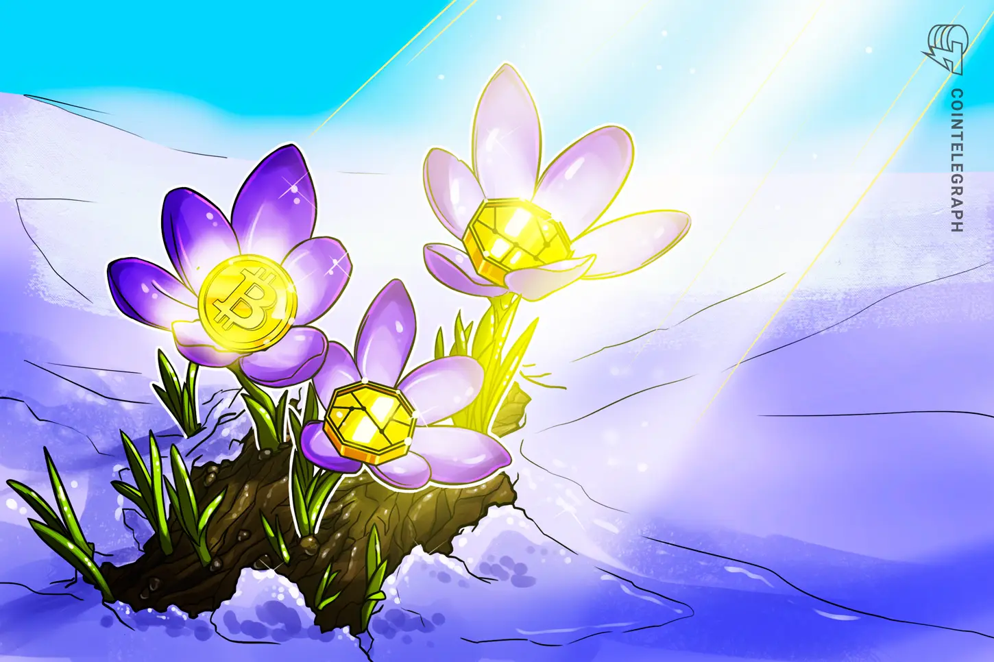 Bitwise’s - Tapbit News
