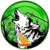 WSPP icon