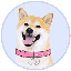 DOGEGF icon