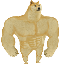 SWOLE icon