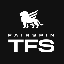 TFS icon