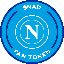 NAP icon