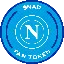 NAP icon