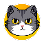 CATS icon
