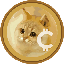 CAT icon