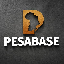 PESA icon