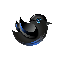 BlueSparrow icon