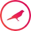 coin logo