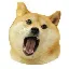 OMNOM icon