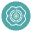 NDC icon