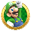 LUIGI icon