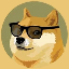 DOGE2.0 icon