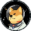 DOGE-1 icon