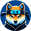 NINJA icon