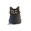 KITTY icon