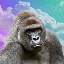 HARAMBE icon