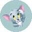 BABYTOMCAT icon