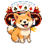 CASINU icon