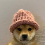 DOGWIFHAT icon