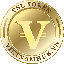 VSL icon