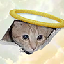 CEICAT icon