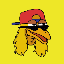 BIRDDOG icon