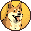DOGE20 icon