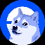 DOGE icon