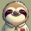 SLOTH icon