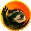PEDRO icon