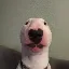 WALTER icon