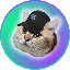 SOLCAT icon